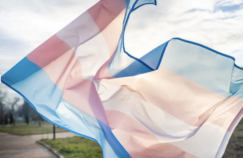 Trans Healthcare Training Fund