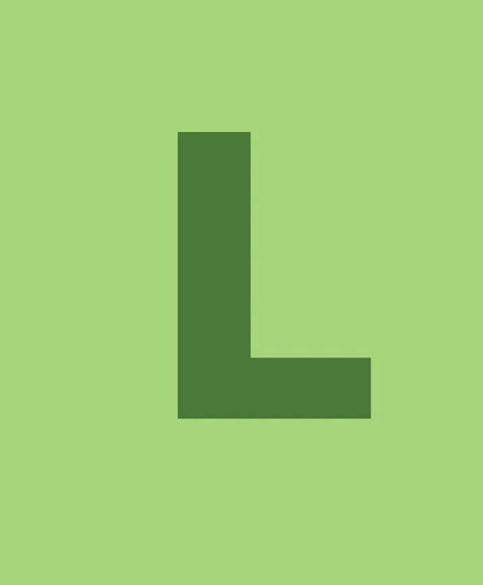 Crowe-Lane Accounting Services LLC logo
